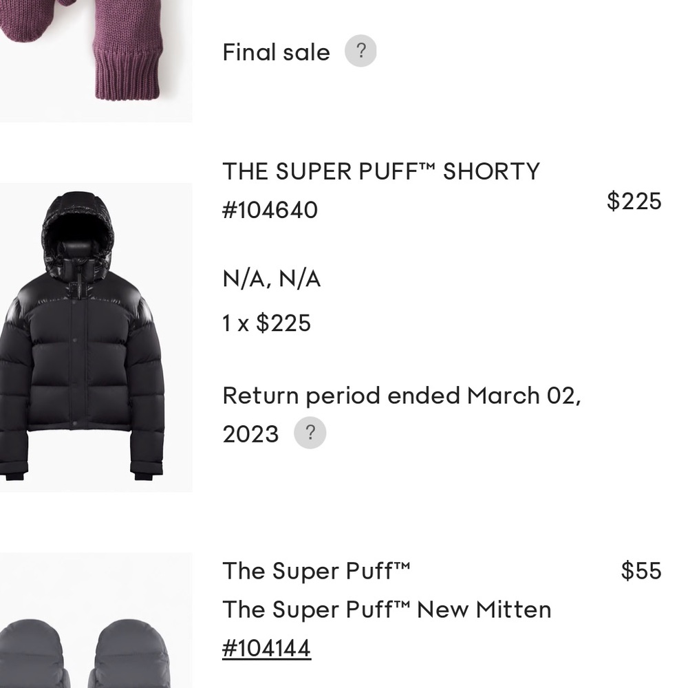 Aritzia Super Puff-Shorty